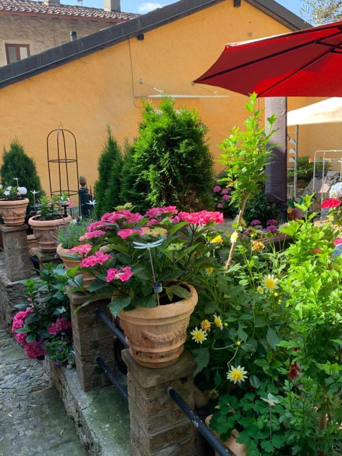 Ferienhaus, Rustico Auf Burg Locarno